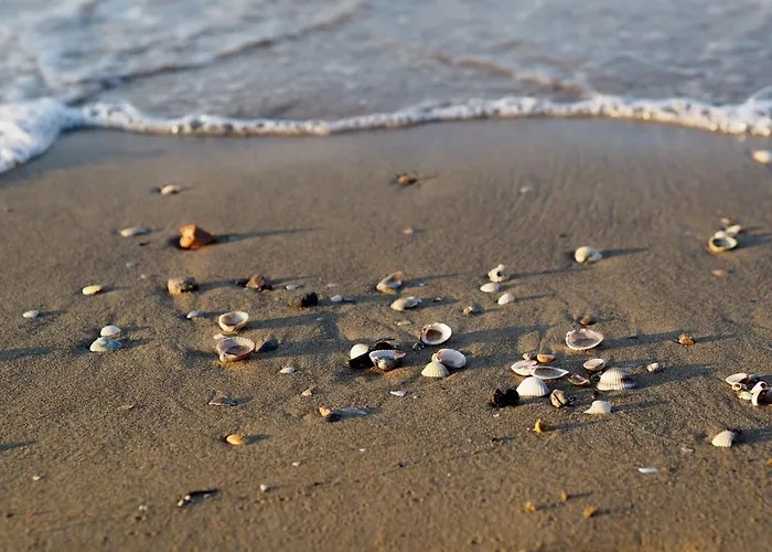 Apartment Welcoming For Families In *